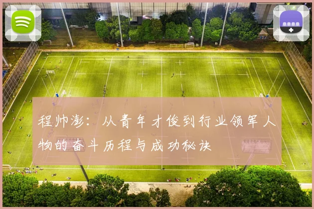 程帅澎：从青年才俊到行业领军人物的奋斗历程与成功秘诀