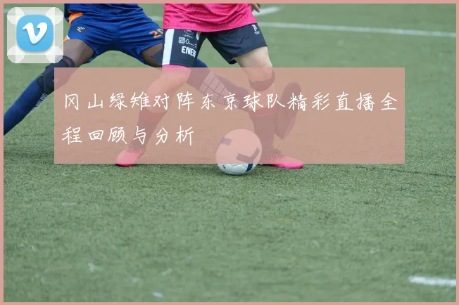 冈山绿雉对阵东京球队精彩直播全程回顾与分析