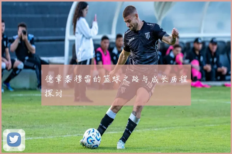 德章泰穆雷的篮球之路与成长历程探讨