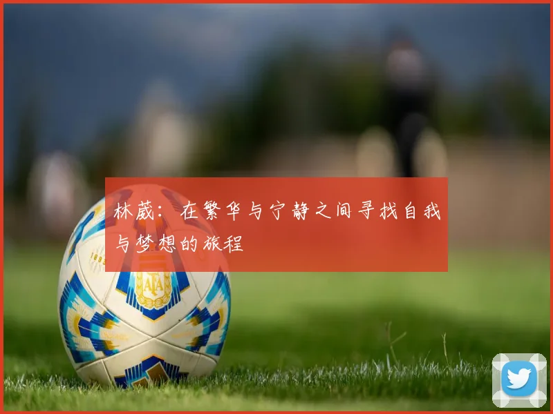 林葳：在繁华与宁静之间寻找自我与梦想的旅程