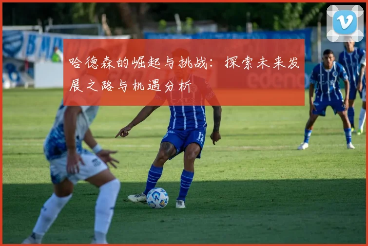 哈德森的崛起与挑战：探索未来发展之路与机遇分析
