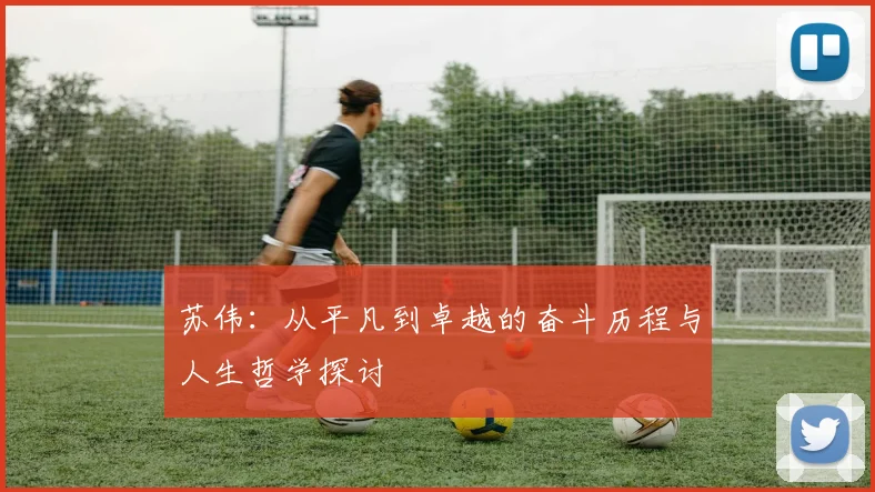 苏伟：从平凡到卓越的奋斗历程与人生哲学探讨