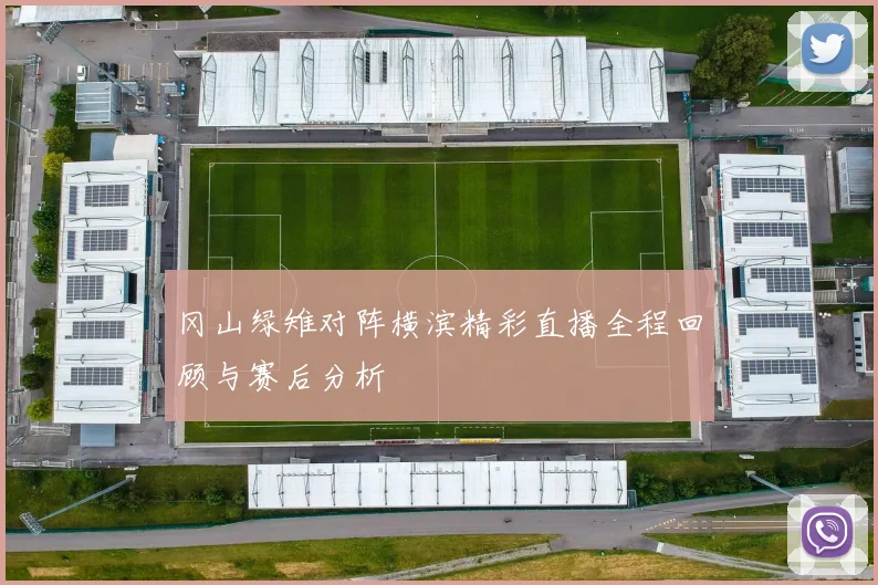 冈山绿雉对阵横滨精彩直播全程回顾与赛后分析