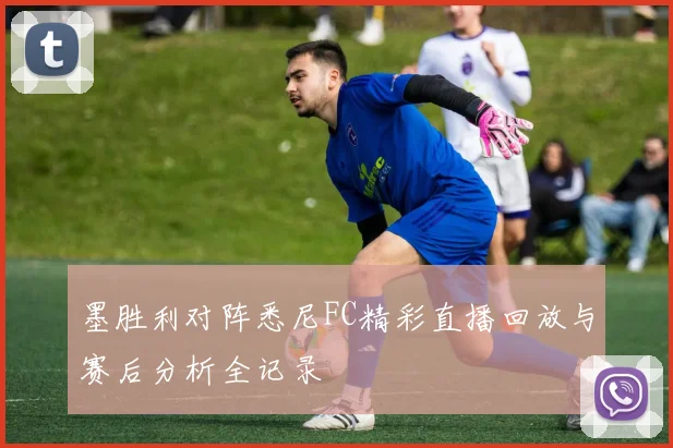 墨胜利对阵悉尼FC精彩直播回放与赛后分析全记录