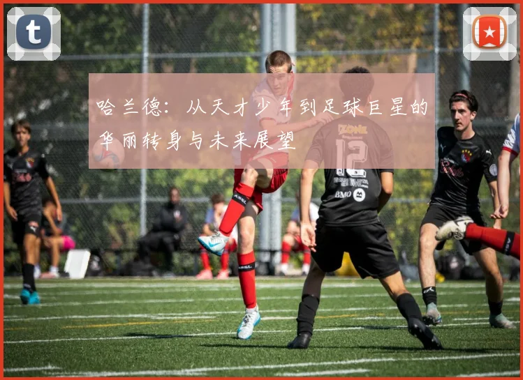 哈兰德：从天才少年到足球巨星的华丽转身与未来展望