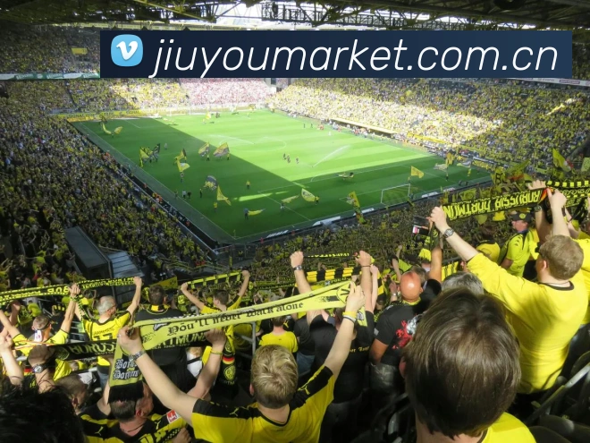 九游体育APP 高清赛事图